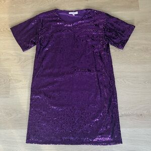 Robin Catharina Anti Hero Purple Sequin Dress